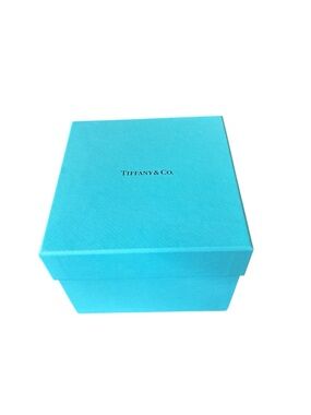 Tiffany & Co Signature Blue Logo Gift Box